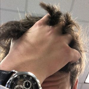 Meet your Posher, Ahram